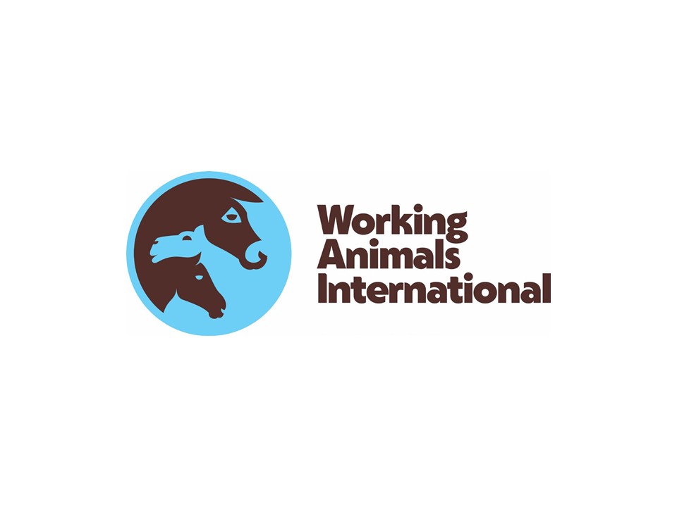 CEO, Working Animals International (RBZQA)